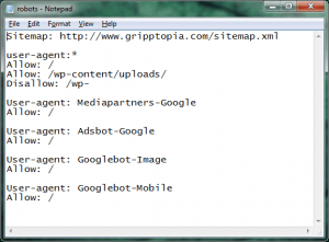 Robots.txt File