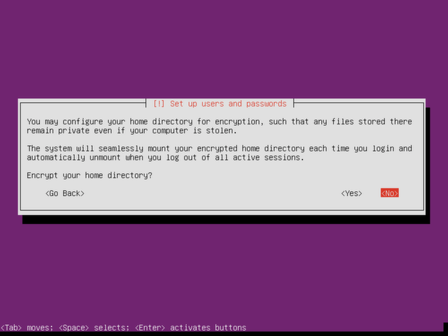 Choose whether to encrypt home directory.