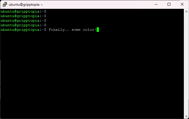 Ubuntu server with prompt color